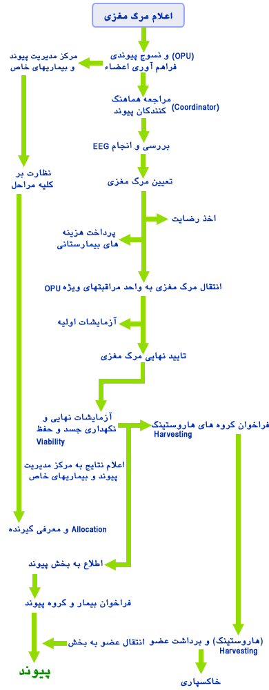 اهدای عضو