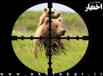 افزایش جریمه نقدی شکار و صید غیرمجاز