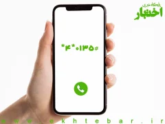 فعال‌سازی کد دستوری برای پیگیری شکایات در سازمان تعزیرات