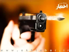کشته شدن وکیل یاسوجی با شلیک افراد ناشناس
